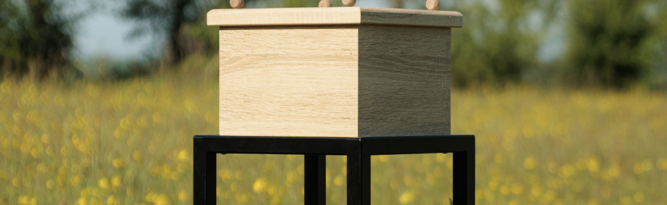 Fladderende Vlinder(s)…