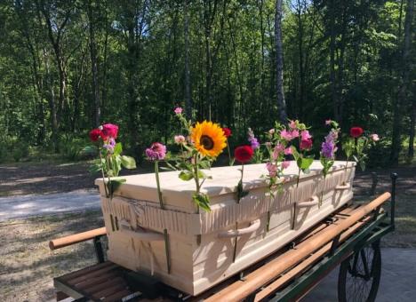 kistenband-bloemenband-wassink.jpeg